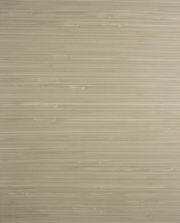 کاغذ دیواری قابل شستشو عرض 50 Design id آلبوم آلفا کد SR210302-F